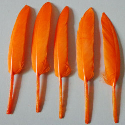 20 Piume d'oca Arancioni 8 - 15 cm