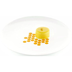 Stencil miele Silikomart: stampo in silicone giallo per decoro alveoli 100x77xh1 mm - set 2 pz